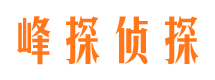 宁晋市私人调查